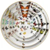 Dinner Plates Set
